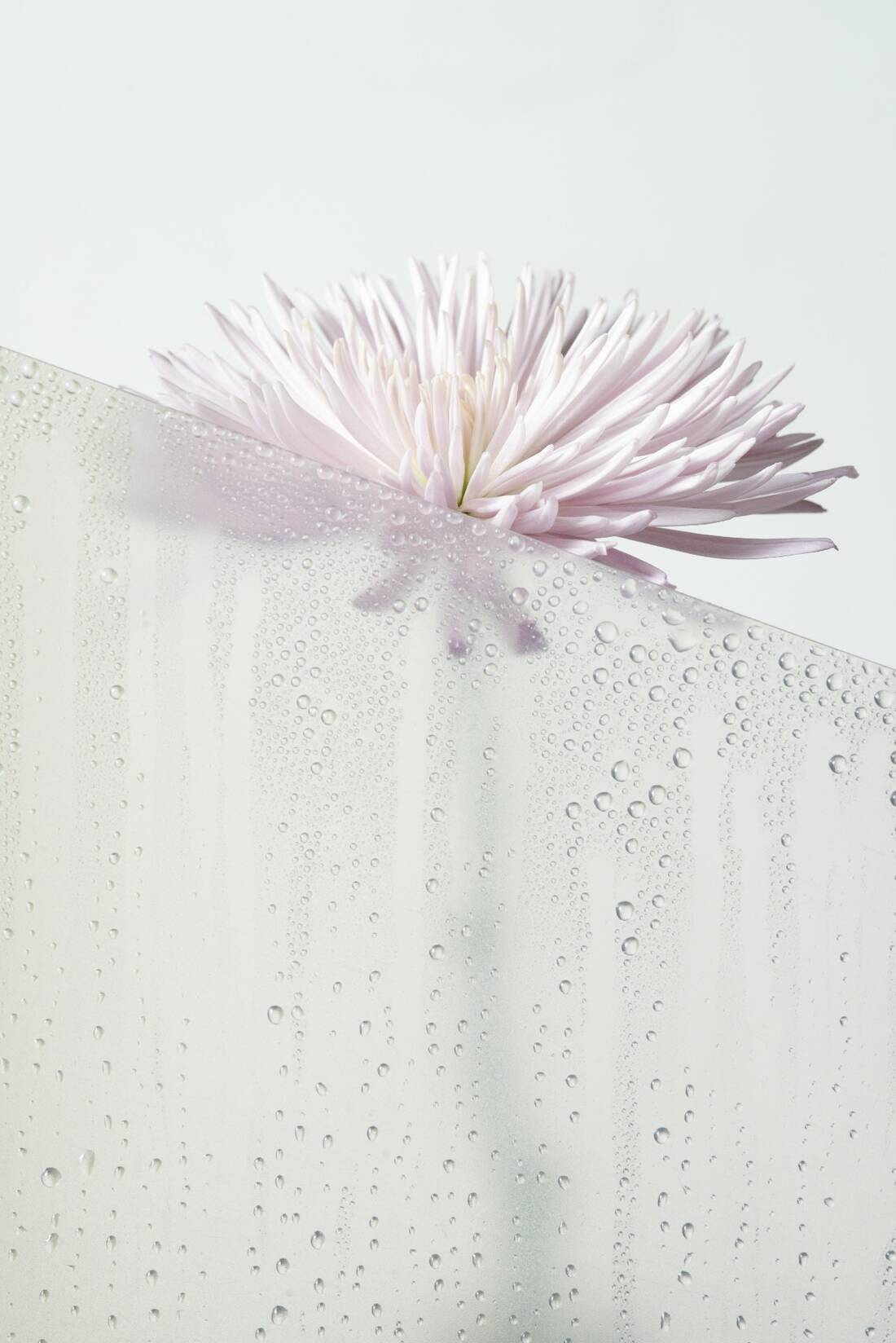 Духовный минимализм: как выкинуть хлам из своей души за 7 дней